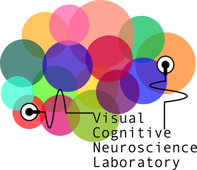 Visual Cognitive Neuroscience Laboratory