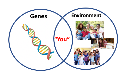 Genes, Environment, and Youth Development (Su)