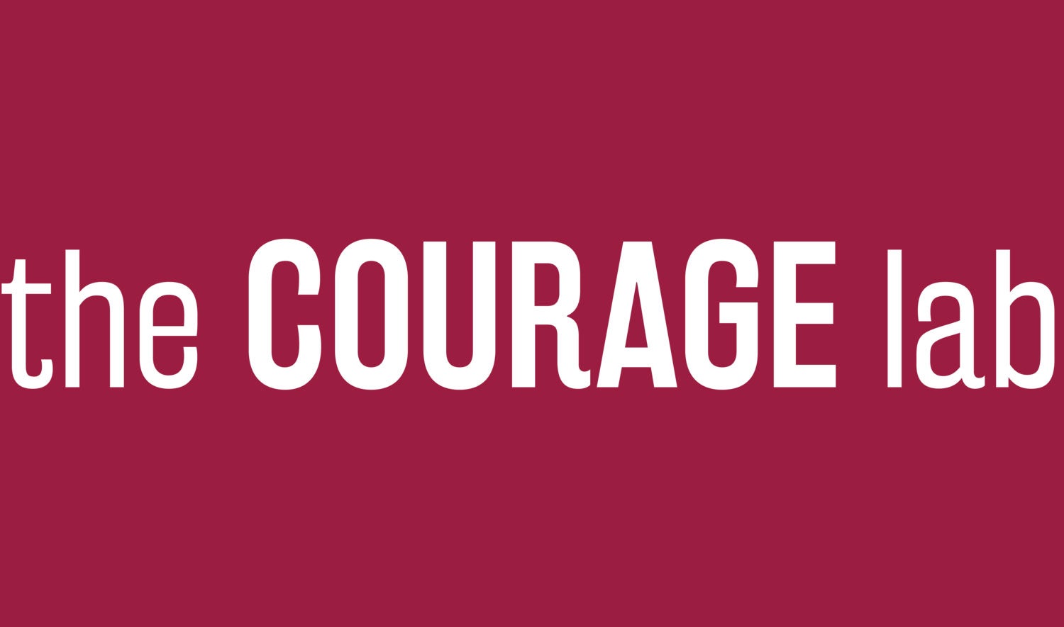 The Courage Lab