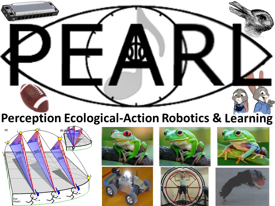 PEARL Lab Icon